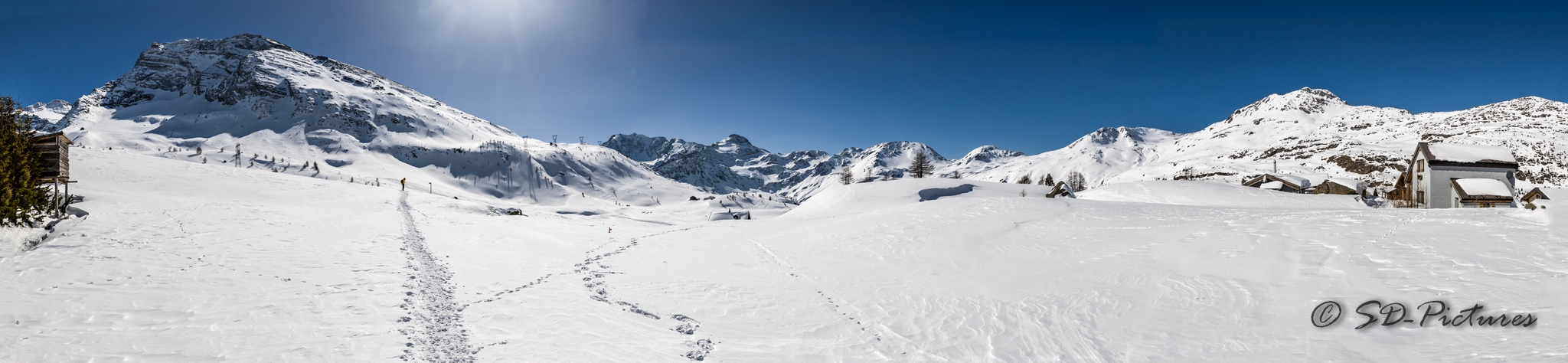 WEB  DP 2943 Pano 4096