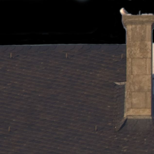 Schloss 2011 t 1 01 07