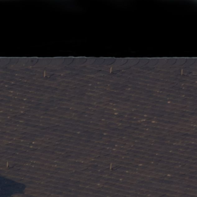 Schloss 2011 t 1 01 09