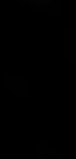 Schloss 2011 t 1 01 15