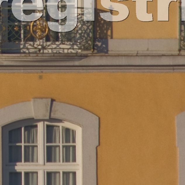 Schloss 2011 t 1 06 05