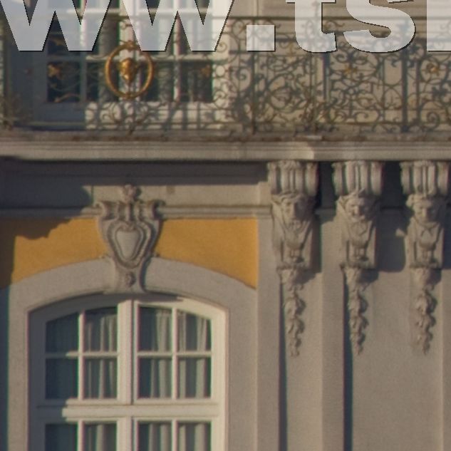 Schloss 2011 t 1 06 07