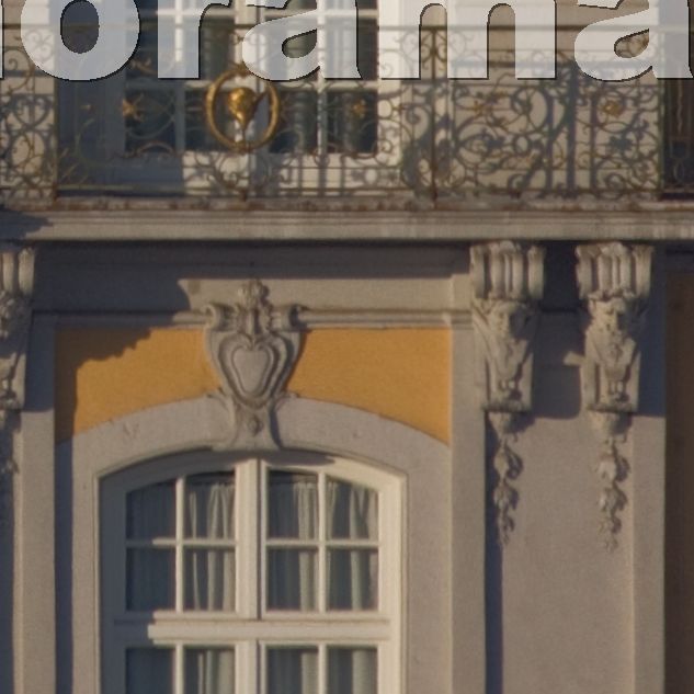 Schloss 2011 t 1 06 10