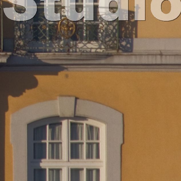 Schloss 2011 t 1 06 11