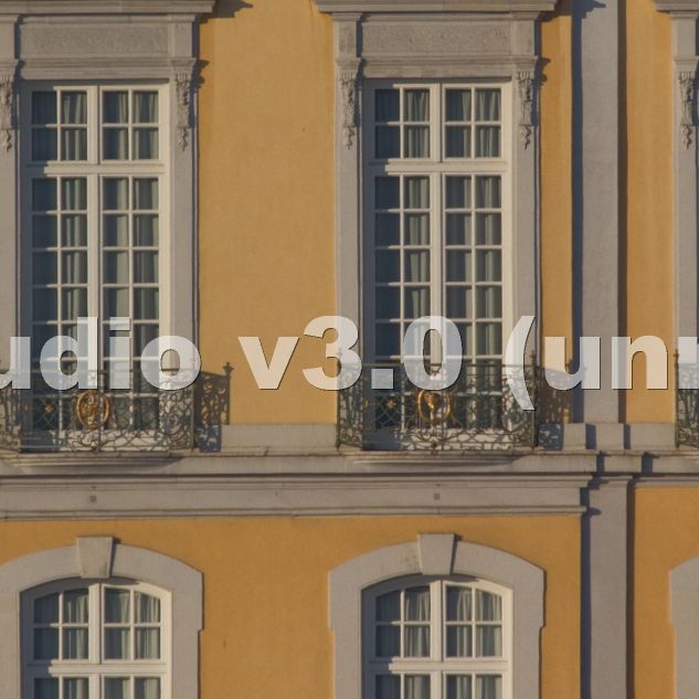 Schloss 2011 t 2 03 02