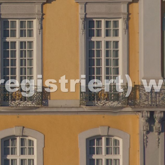 Schloss 2011 t 2 03 03