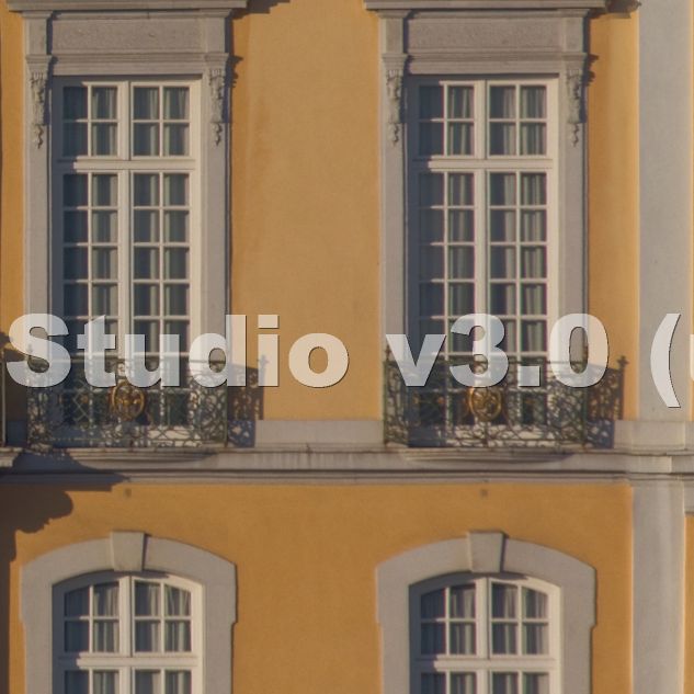 Schloss 2011 t 2 03 06