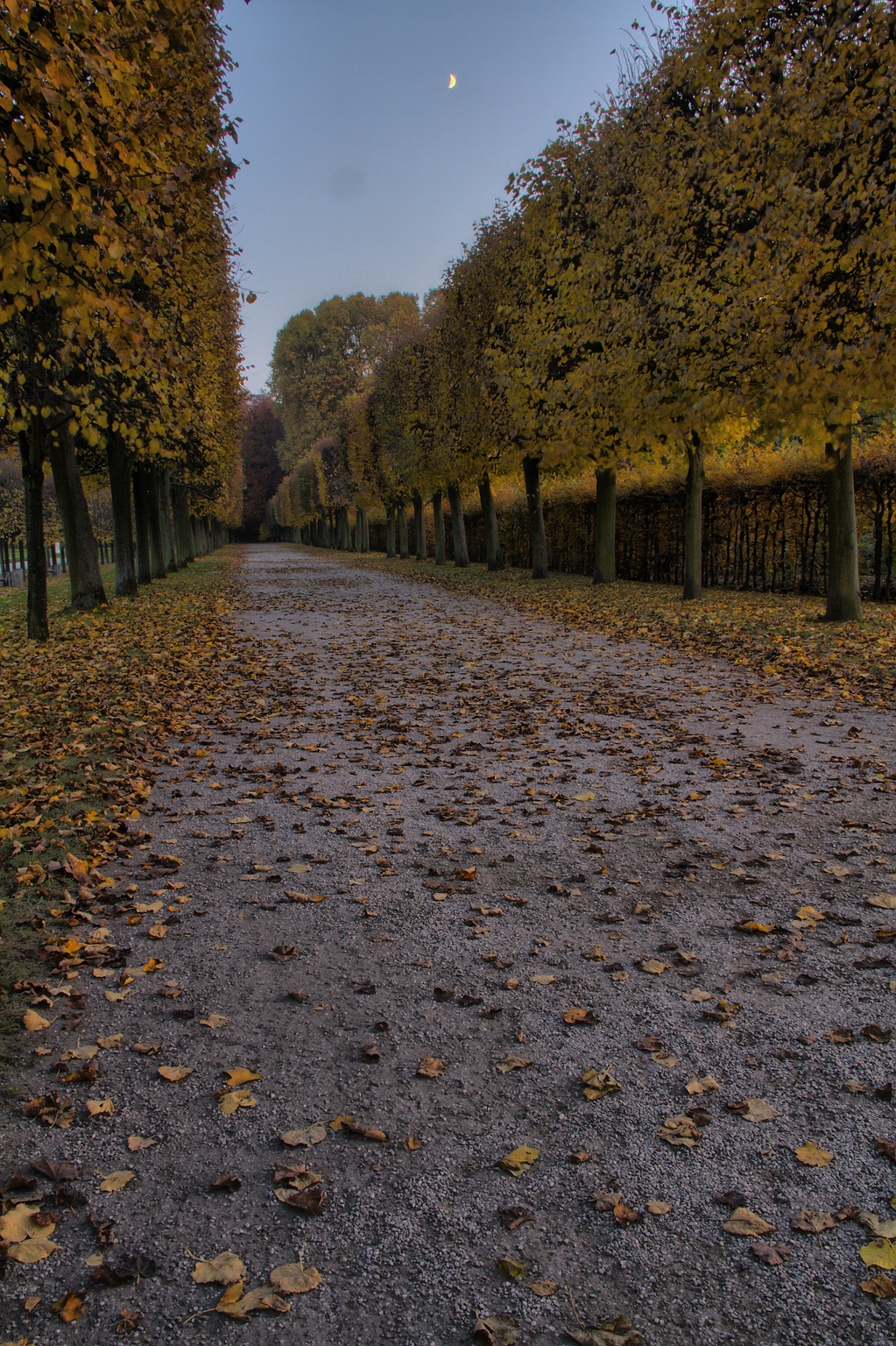 WEB IMG 2010 HDR(3) Default